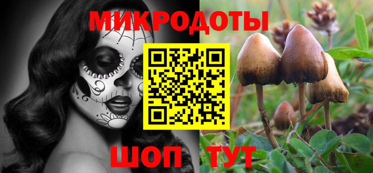 Псилоцибиновые грибы Cubensis  Вход с VPN  закладки  Ленинск-Кузнецкий 